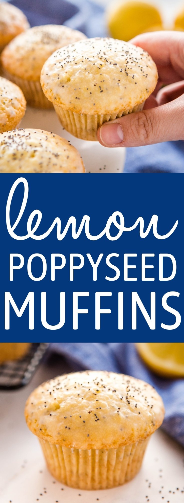 These Lemon Poppy Seed Muffins are the perfect sweet treat for breakfast, brunch or snack. Make this recipe for moist, tender muffins packed with fresh lemon and poppy seeds! Recipe from thebusybaker.ca! #recipe #lemon #poppyseed #muffins #cake #baking #fruit #citrus #homemade #muffinrecipe via @busybakerblog