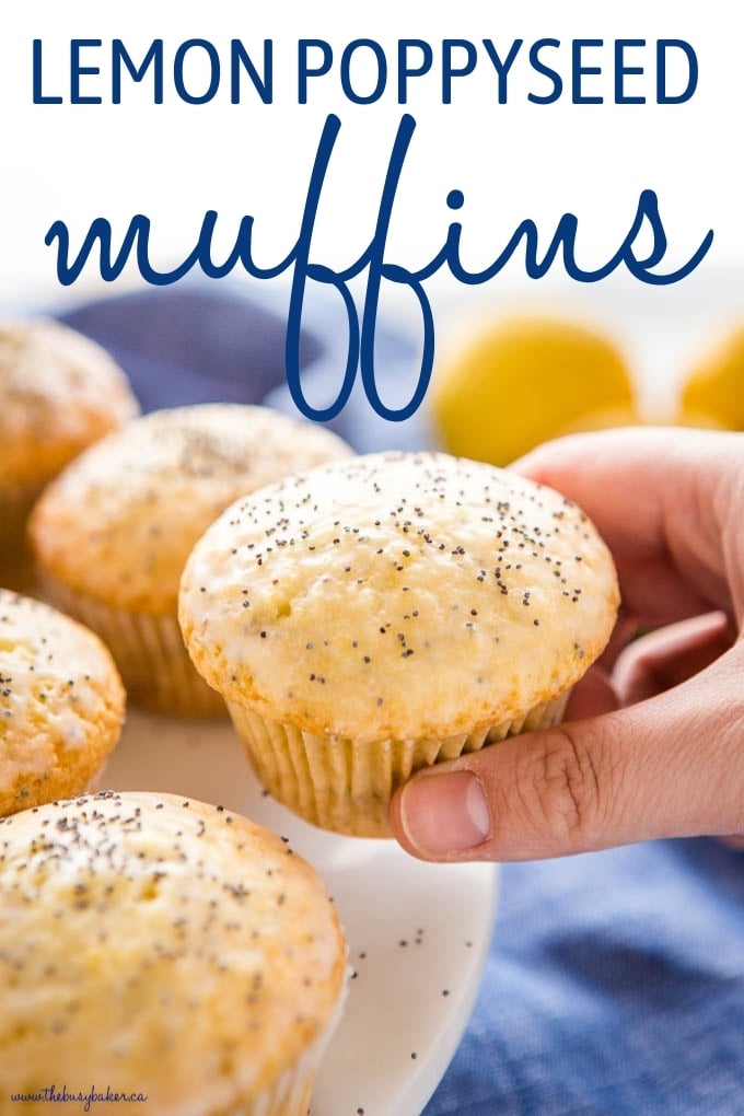 Lemon Poppy Seed Muffins Recipe