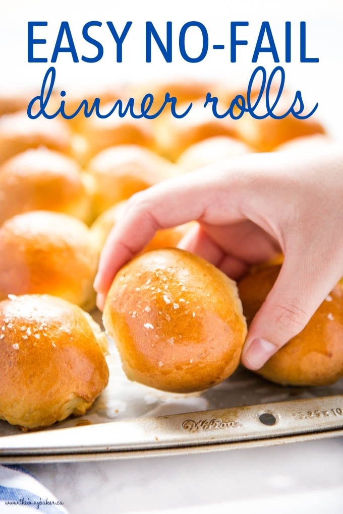 Homemade Dinner Rolls Recipe