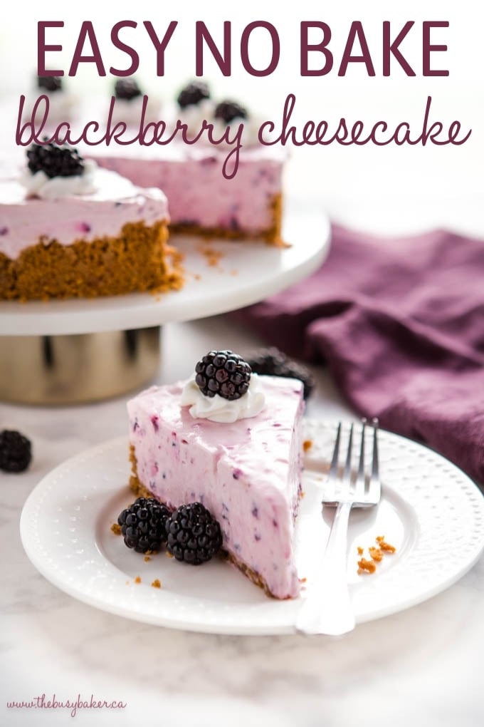 No Bake Blackberry Cheesecake - The Busy Baker