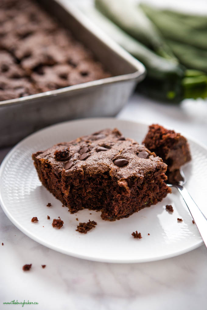 slice of chocolate cake with zucchini and chocolate chips