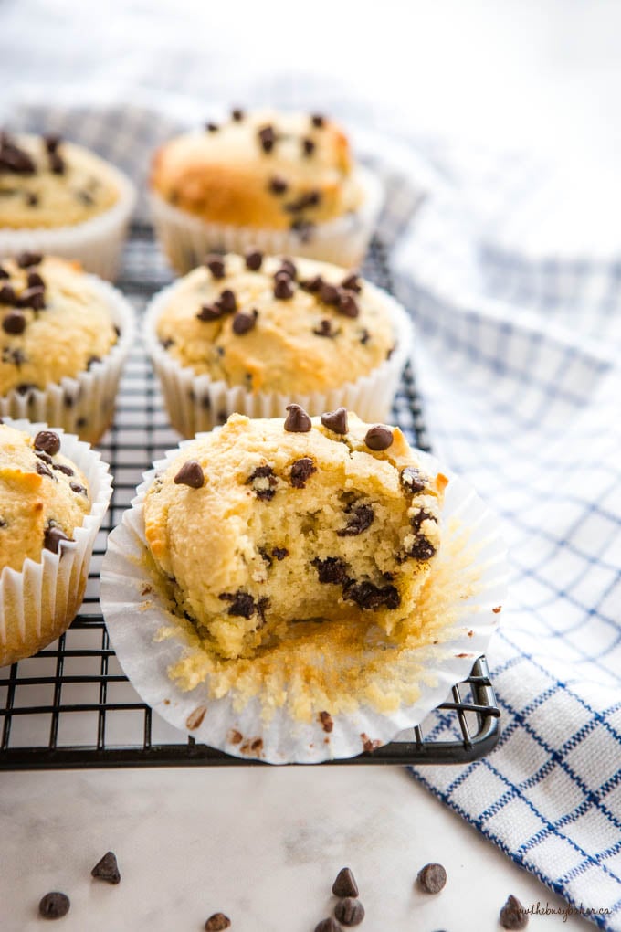 keto muffins with chocolate chips