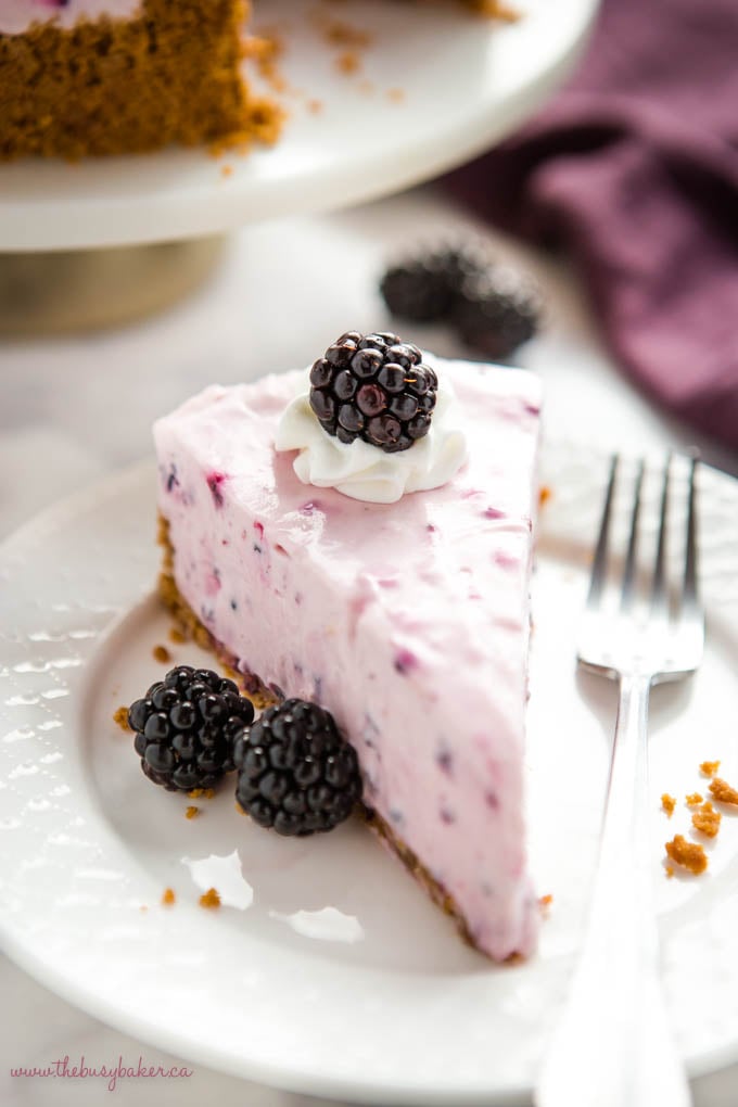 No Bake Blackberry Cheesecake The Busy Baker