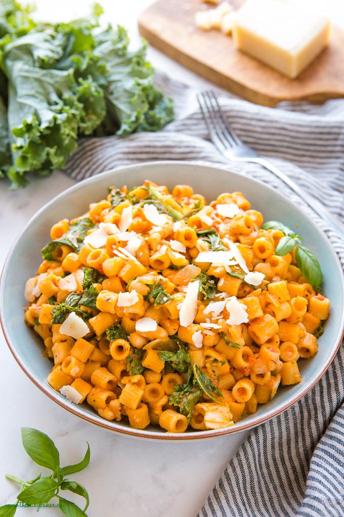 bowl of one pot vegetarian pasta with beans