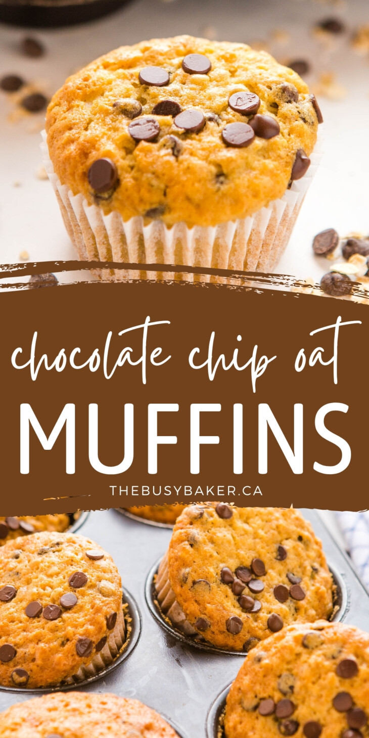 Oatmeal Muffins with Chocolate Chips - The Busy Baker