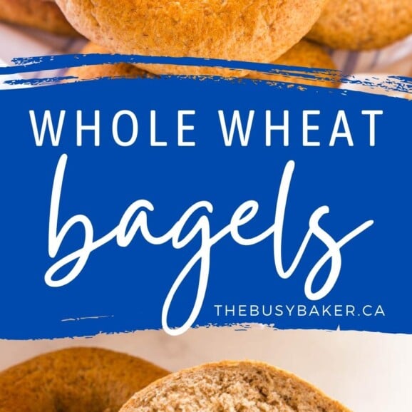 Whole Wheat Bagels The Busy Baker