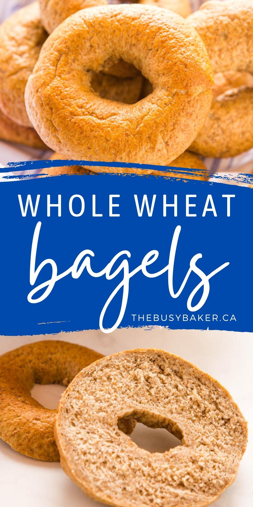 These Whole Wheat Bagels are perfectly dense and chewy, and packed with the goodness of whole wheat! They're easy to make with no special equipment or ingredients, and no refined sugar! Recipe from thebusybaker.ca! #wholewheatbagels #homemadebagels #makebagels #bagelrecipe via @busybakerblog