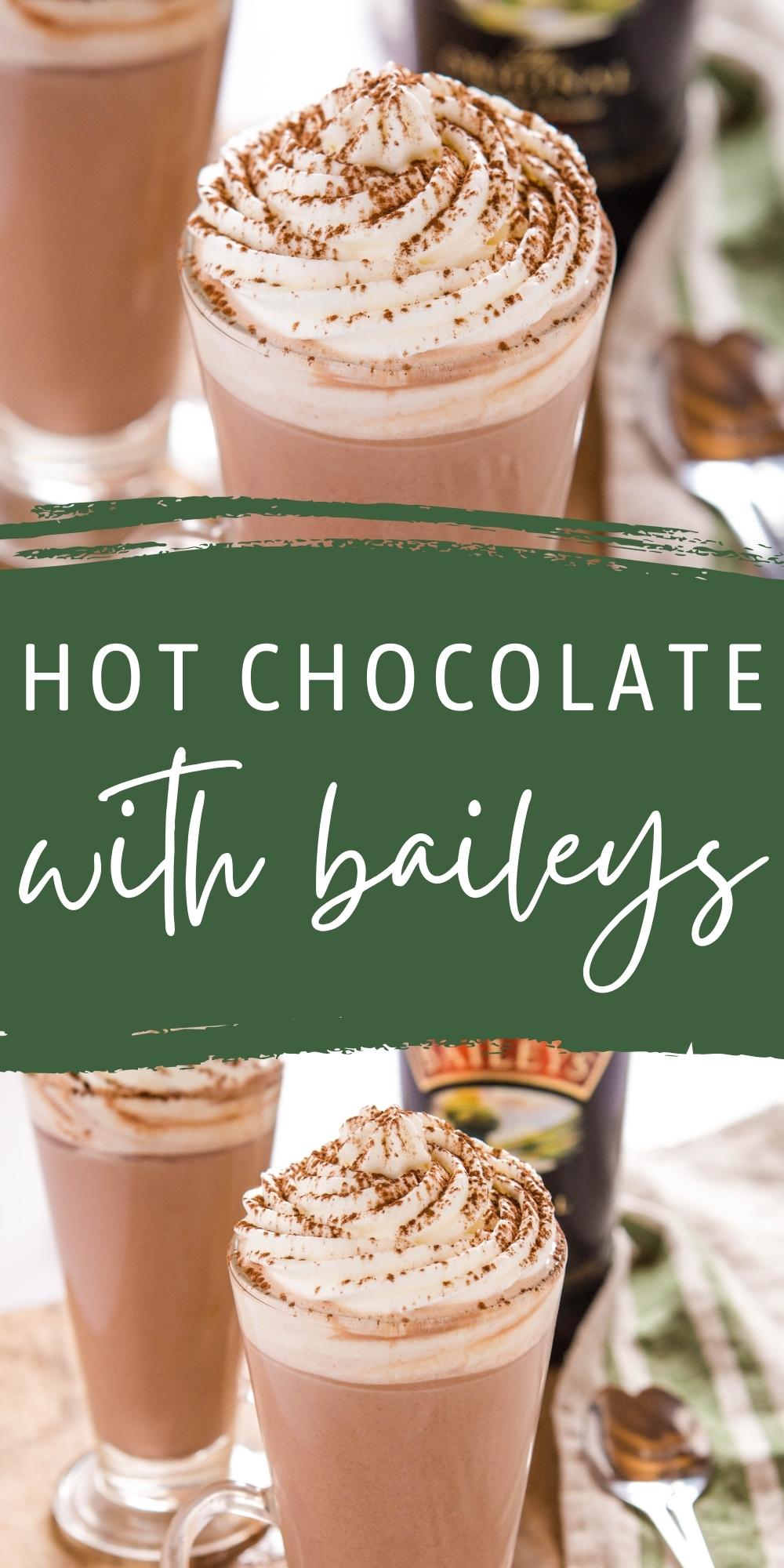 This Hot Chocolate with Baileys recipe is ultra rich and decadent and made with Baileys Irish Cream! Perfect for the holidays! Recipe from thebusybaker.ca! #hotchocolatewithbaileys #baileysirishcream #hotcocoa #alcohol #adultdrink #party #holidayparty #newyearseve via @busybakerblog