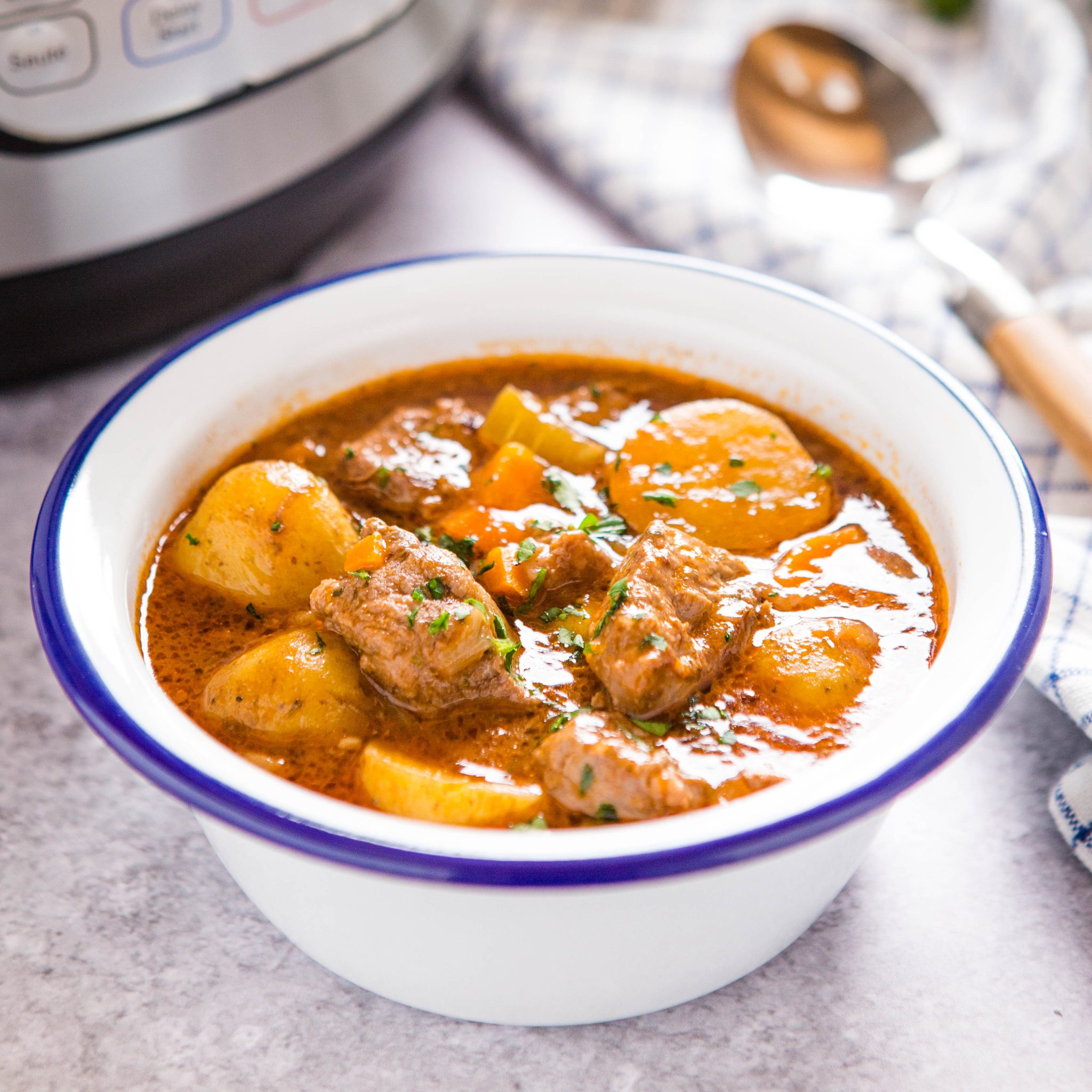 Classic beef stew online instant pot