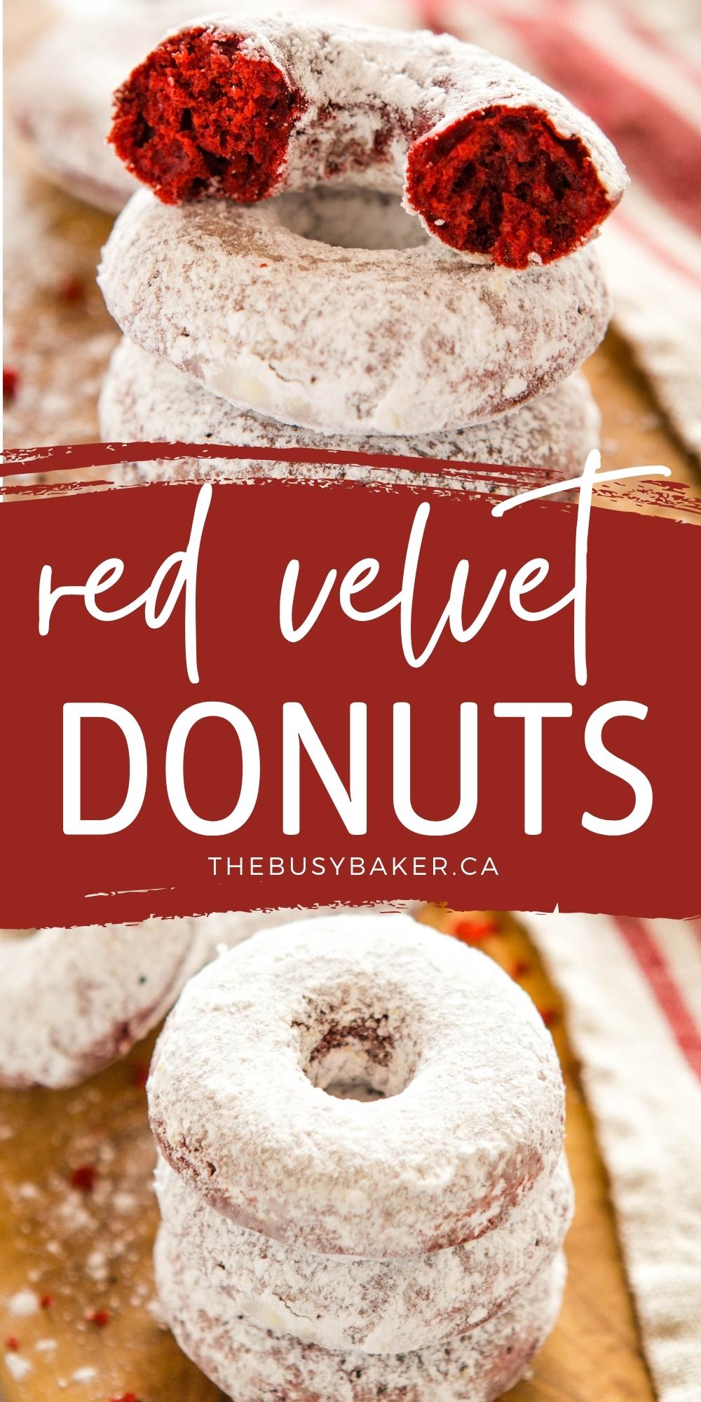 These Red Velvet Donuts are a delicious treat that's easy to make and bursting with classic red velvet flavours! Perfectly fluffy and tender, and dipped in powdered sugar! Recipe from thebusybaker.ca! #redvelvet #redvelvetdonuts #donuts #bakeddonuts #dessert #valentinesday #bakeddonuts via @busybakerblog
