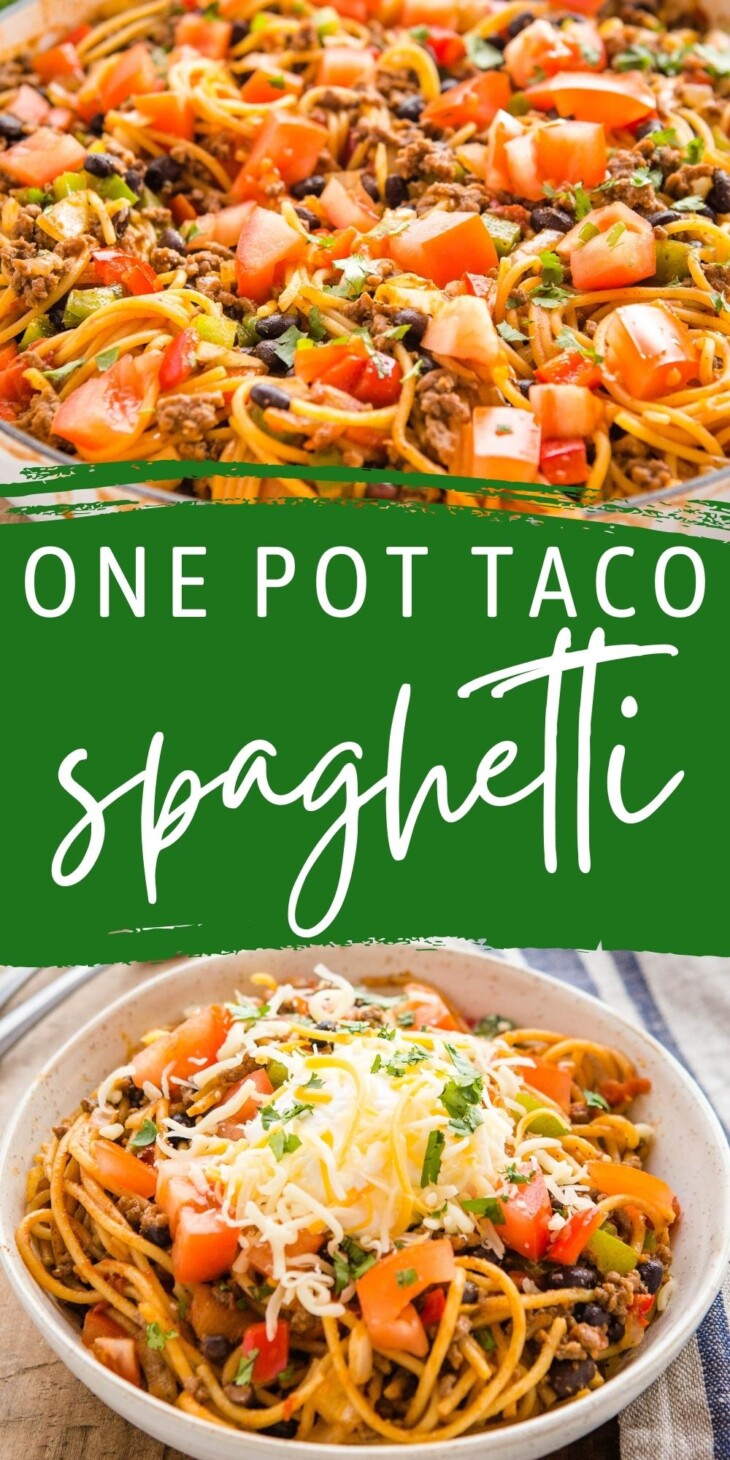 One Pot Taco Spaghetti - The Busy Baker