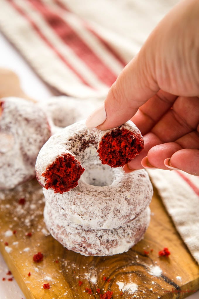 hand holding red velvet donut with powdered sugar