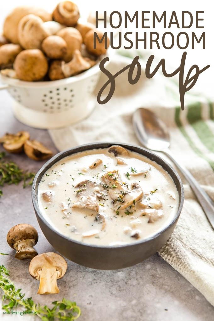 homemade mushroom soup recipe