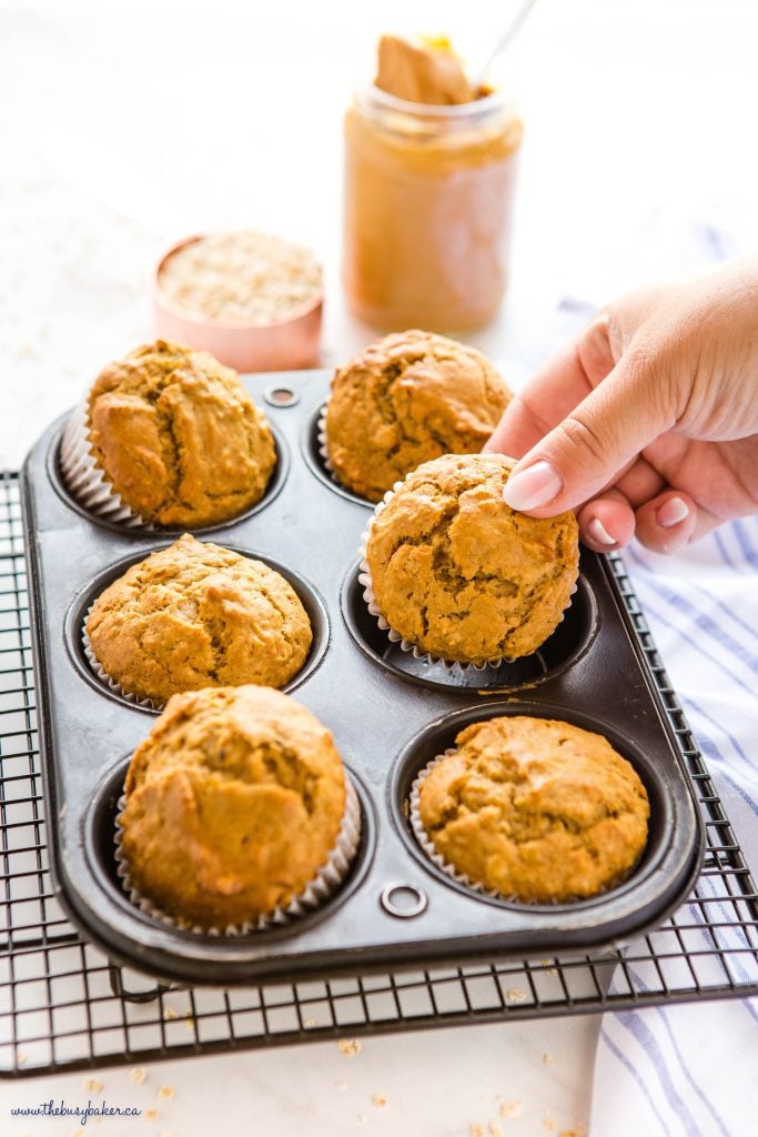 hand holding peanut butter banana oat muffin