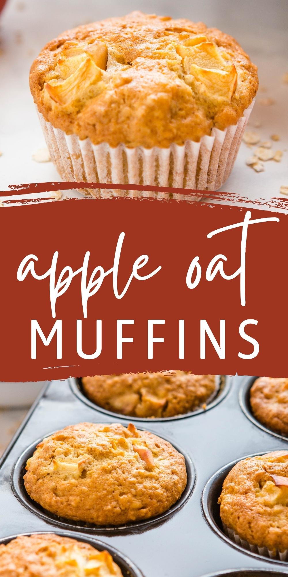 These Apple Oat Muffins are the perfect sweet snack or breakfast made with whole grain oats, sweet apples, and fragrant cinnamon and nutmeg! Recipe from thebusybaker.ca! #appleoatmuffins #applemuffins #apple #muffins #baking #cinnamon #fallbaking #baking #fall #apples via @busybakerblog