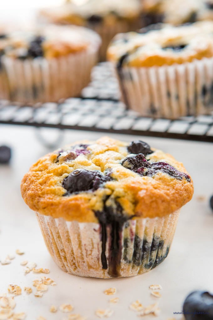 blueberry oat muffin with fresh blueberries