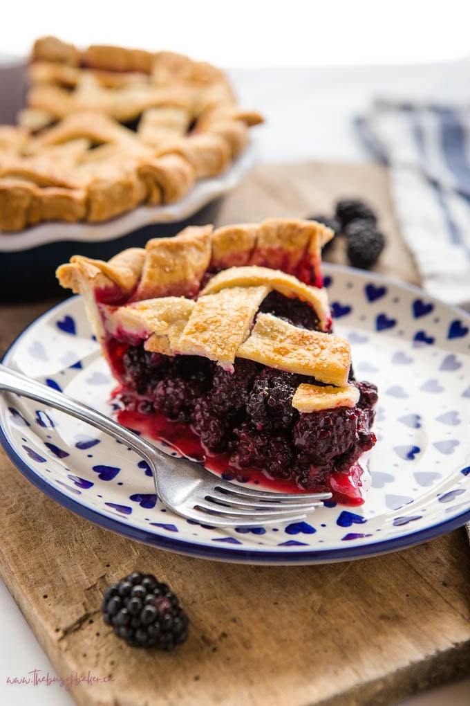 pie with blackberries and lattice top