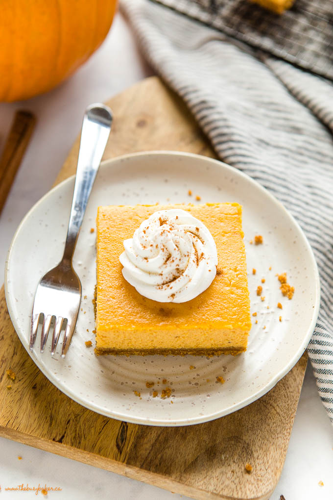 creamy cheesecake bar with pumpkin and whipped cream
