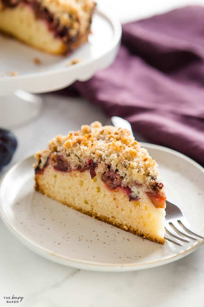 slice of plum cake with streusel topping