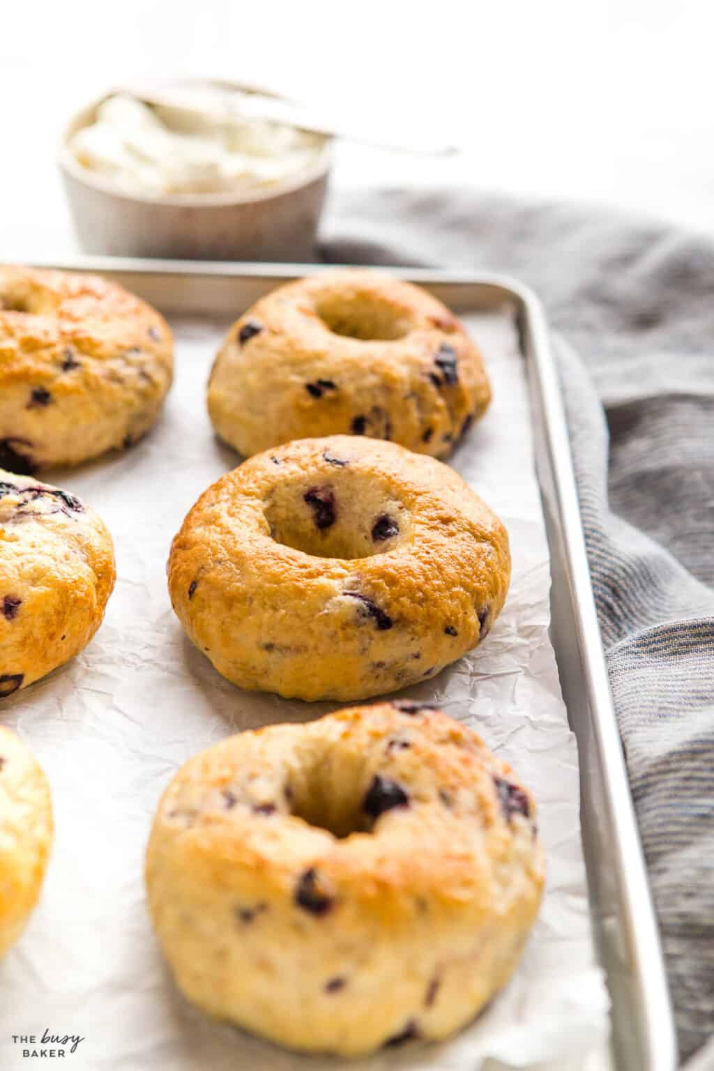 Blueberry Bagels - The Busy Baker