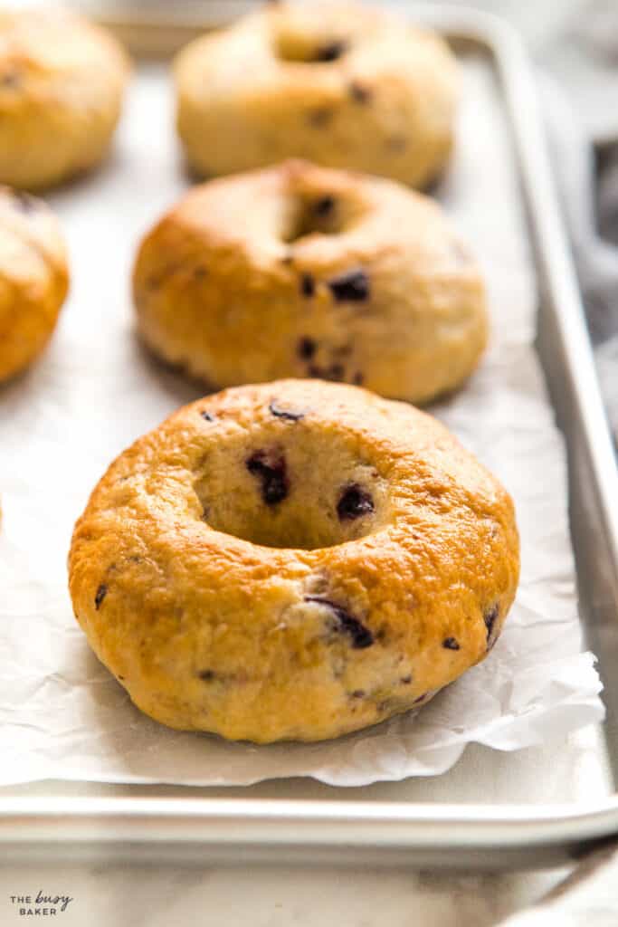 closeup image bagel with blueberries