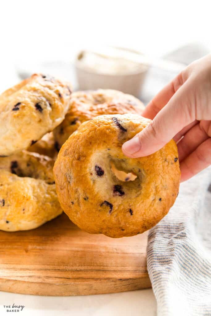 hand holding bagel with blueberries