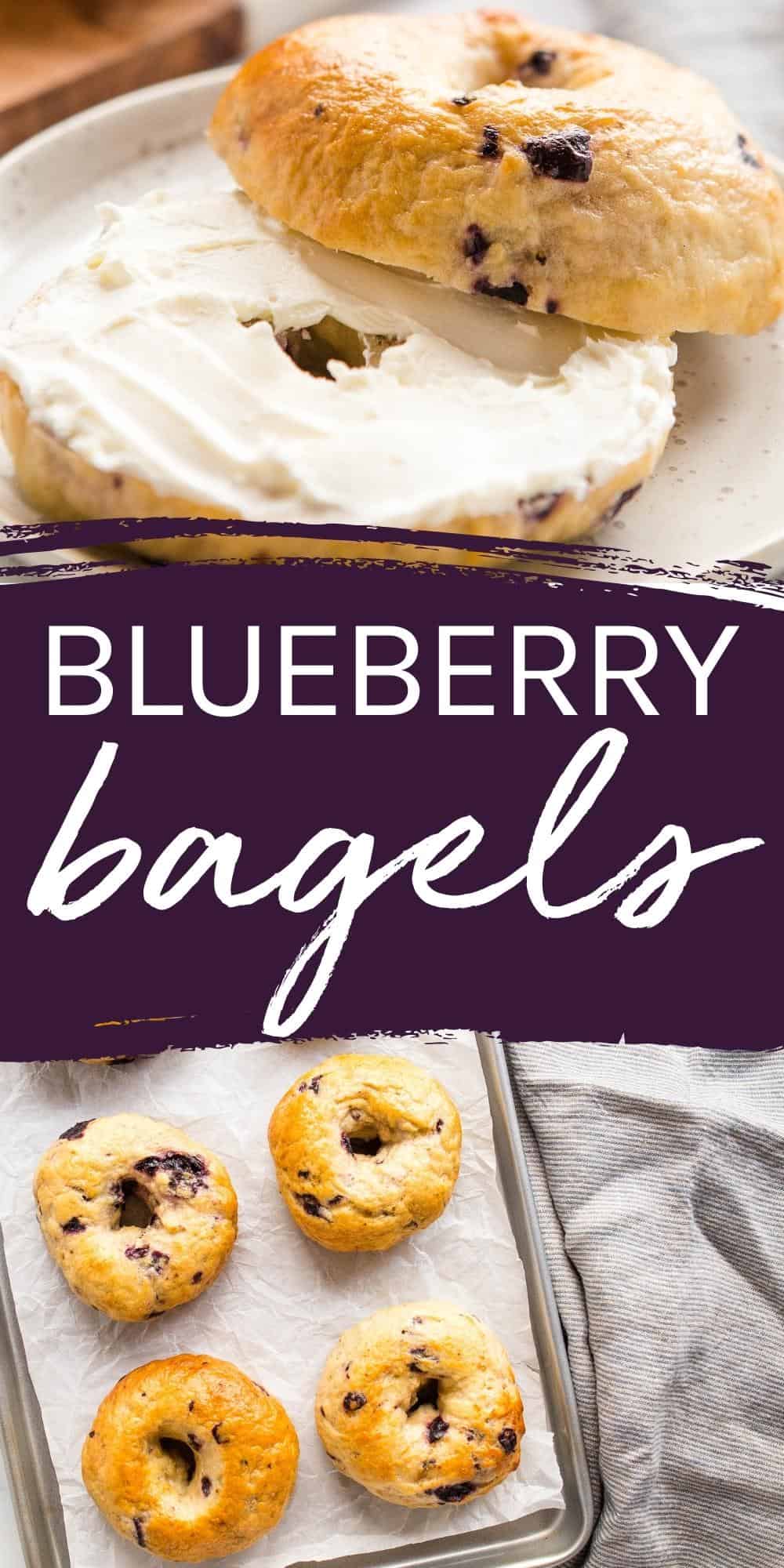 These Homemade Blueberry Bagels are perfectly dense and chewy, they’re SO easy to make with no special equipment or ingredients, no refined sugar, and fresh blueberries! Recipe from thebusybaker.ca! #blueberrybagels #bagel #homemade #bread #easyrecipe #homemadebread via @busybakerblog