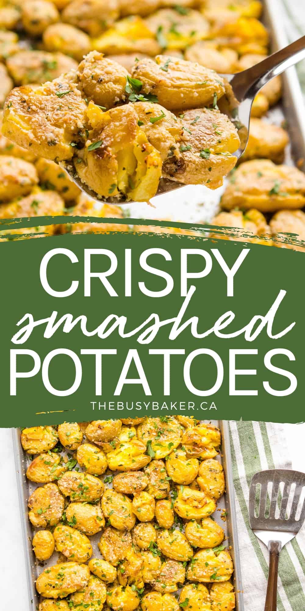 These Crispy Smashed Potatoes with Parmesan are fluffy on the inside, crispy on the outside, and flavoured with garlic, herbs, & parmesan! Recipe from thebusybaker.ca! #parmesanpotatoes #crispysmashedpotatoes #roastedpotatoes #bakedpotatoes #smashedpotatoes via @busybakerblog