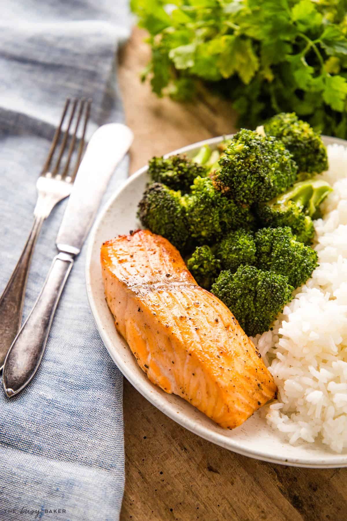 salmon fillet on plate with rice and broccoli