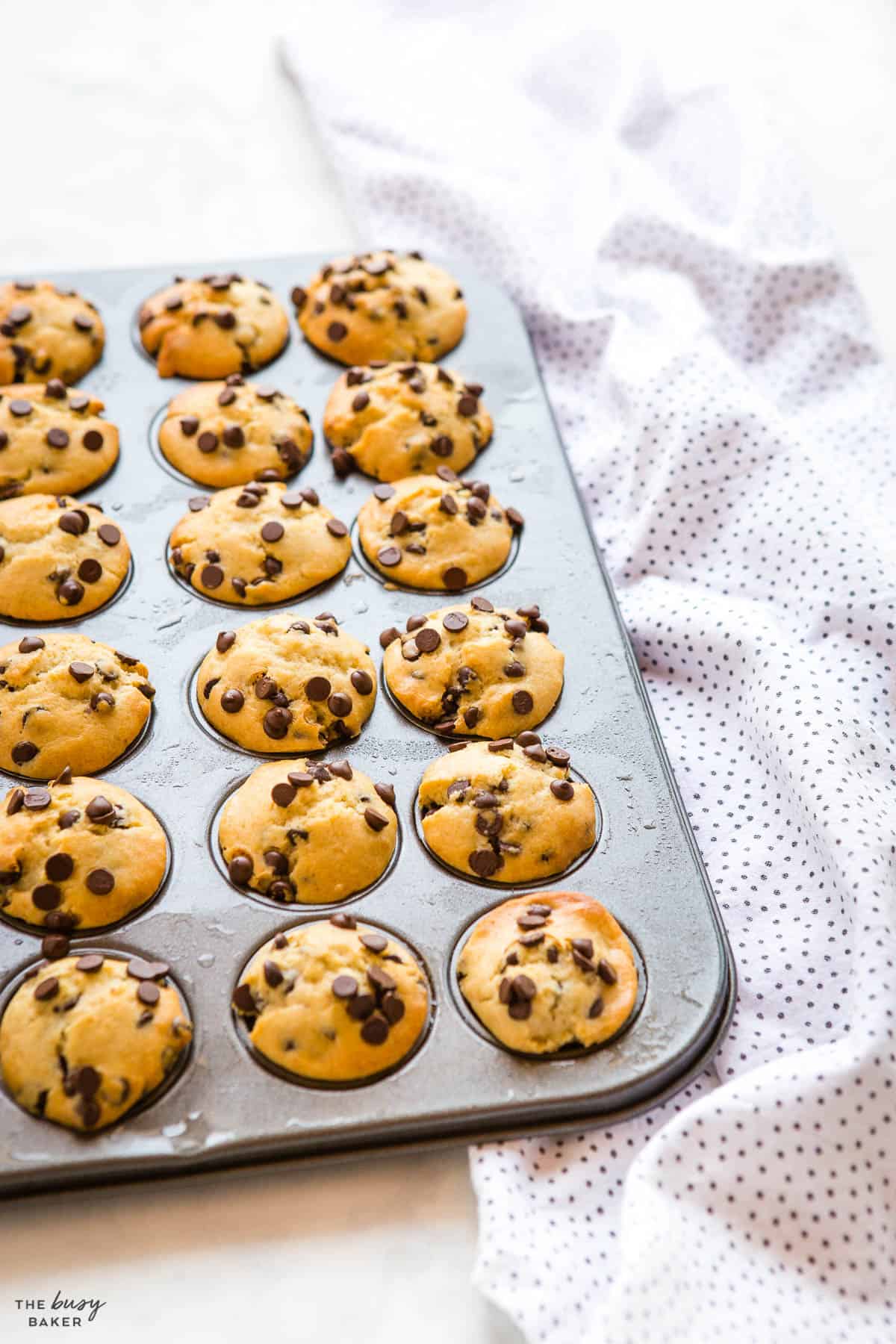 mini muffins in muffin tin with chocolate chips