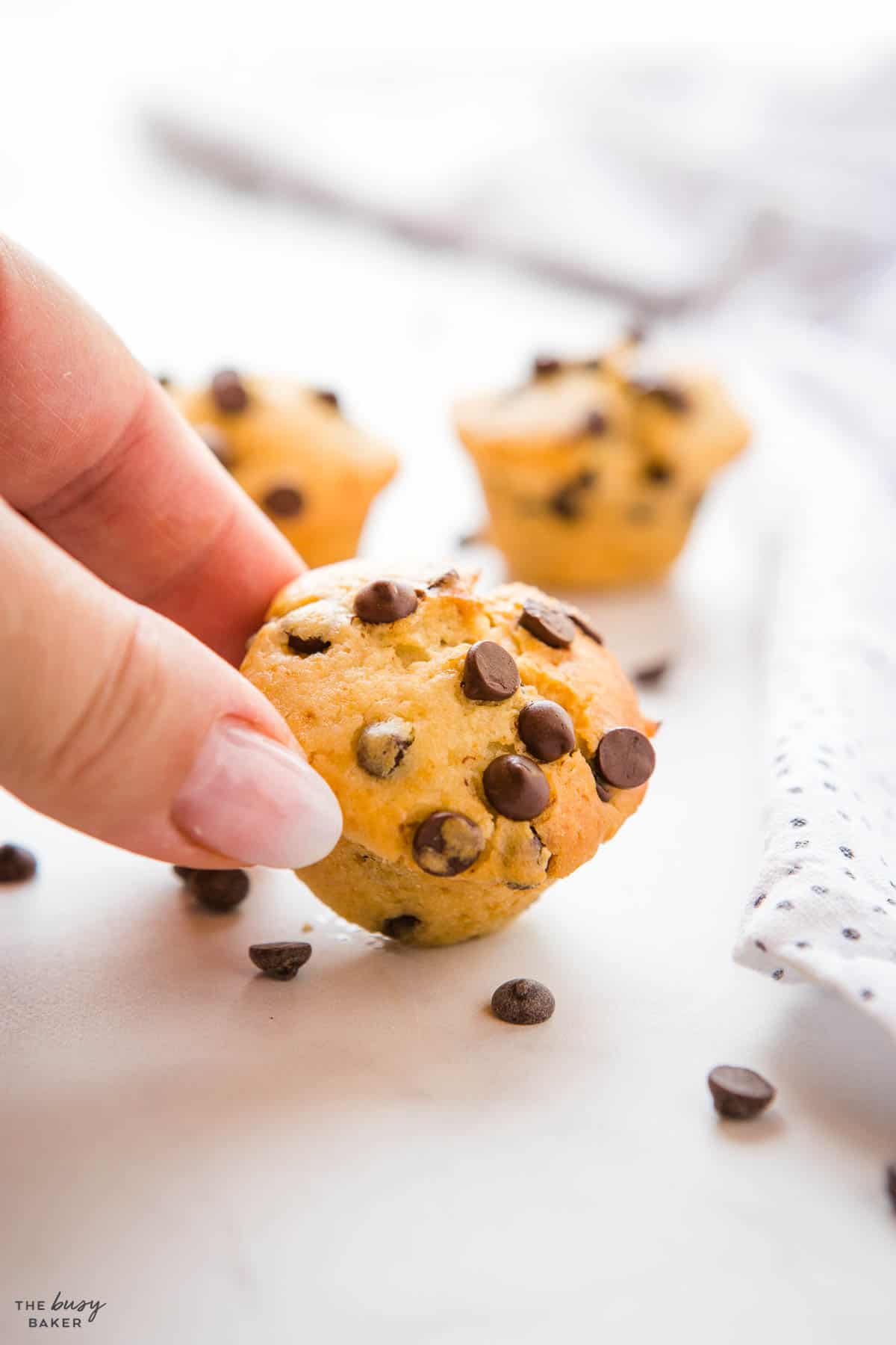 hand holding mini muffin with chocolate chips