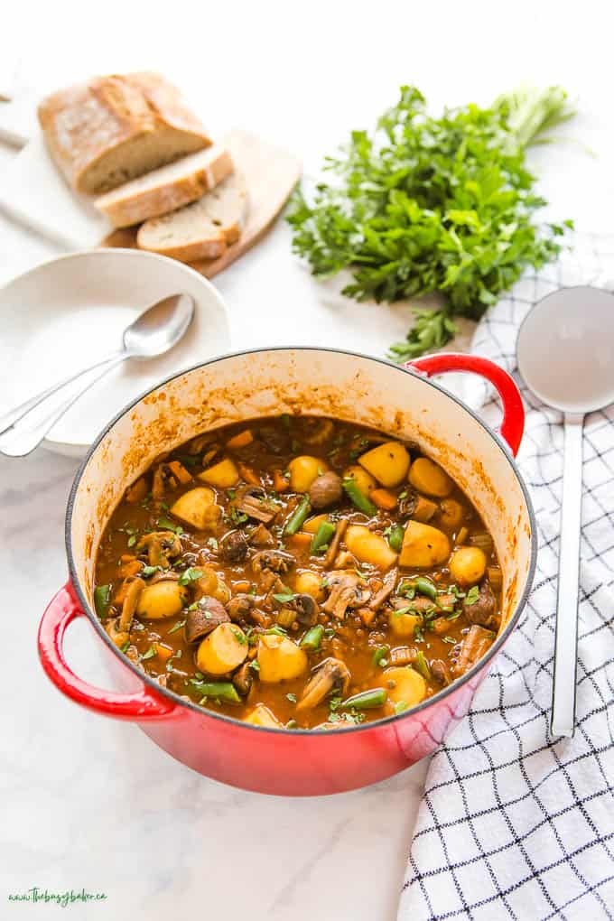 vegetable stew in red cast iron pot