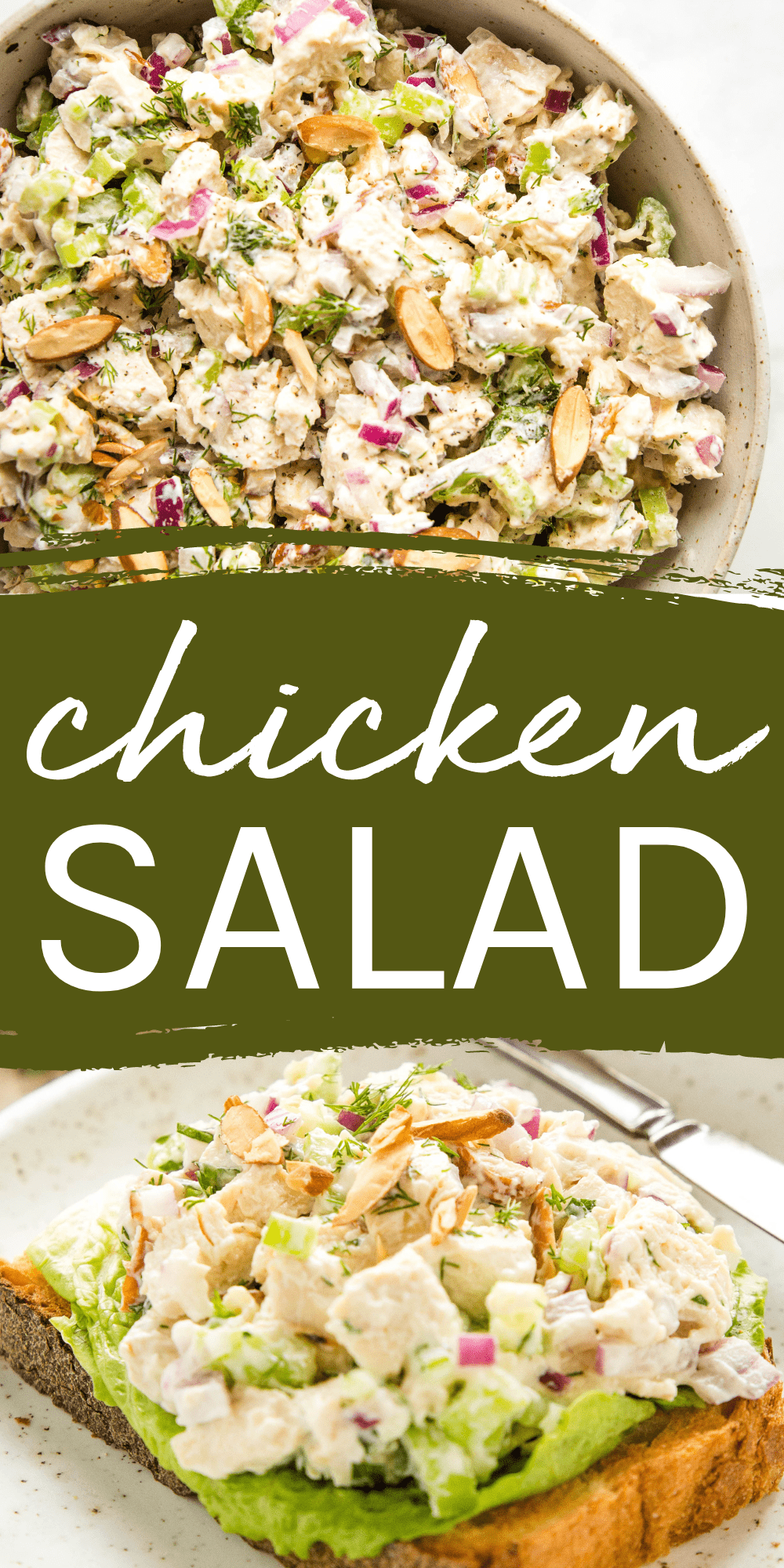 This Chicken Salad recipe is the best easy healthy chicken salad made with fresh poached chicken and a creamy low-fat Greek yogurt dressing! Recipe from thebusybaker.ca! #chickensalad #healthychickensalad #easychickensalad #bestchickensalad #healthyrecipe #picnicrecipe #lowfatchickenrecipe via @busybakerblog