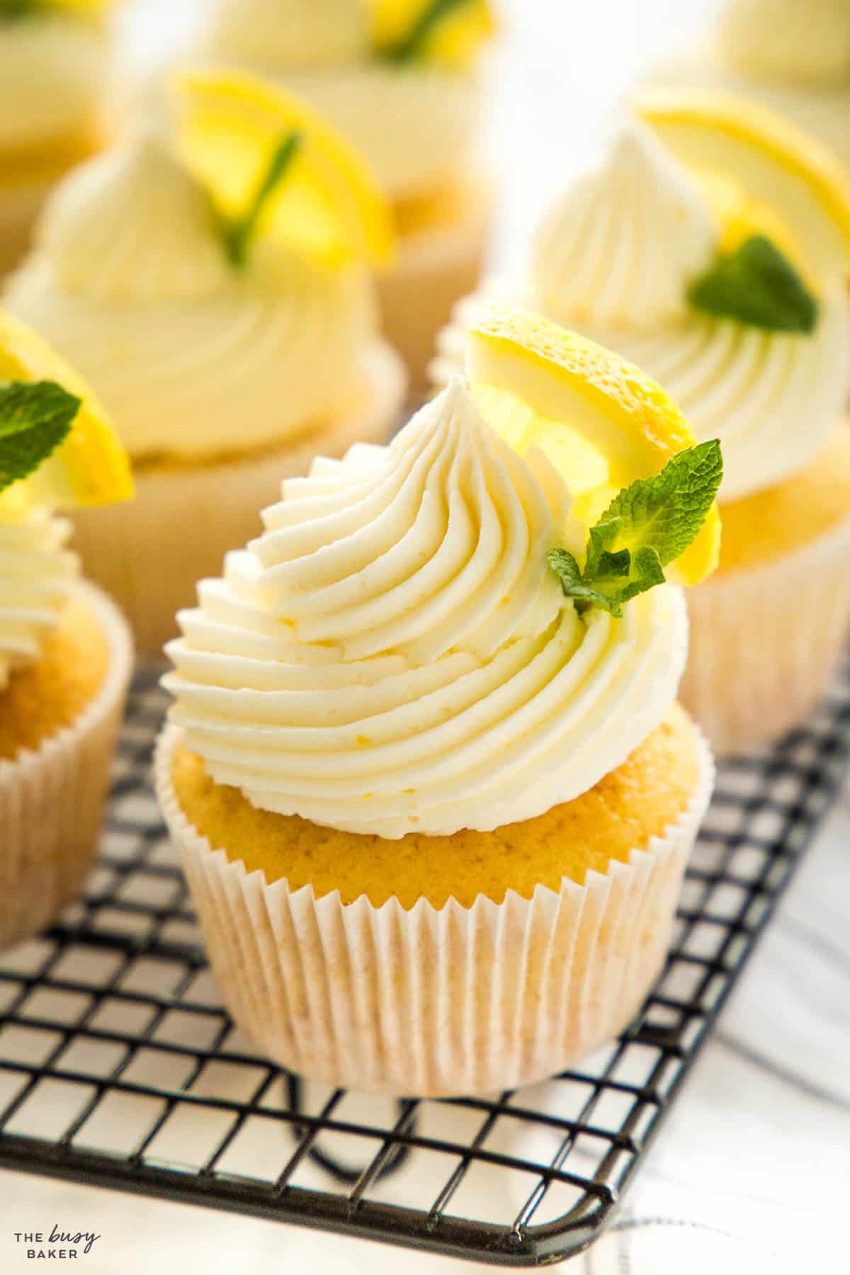 closeup image: lemon dessert