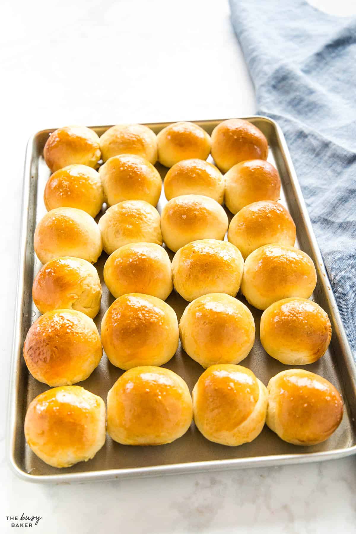 easy dinner rolls recipe