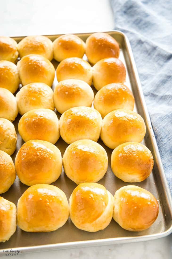 Quick Dinner Rolls Ready in One Hour The Busy Baker