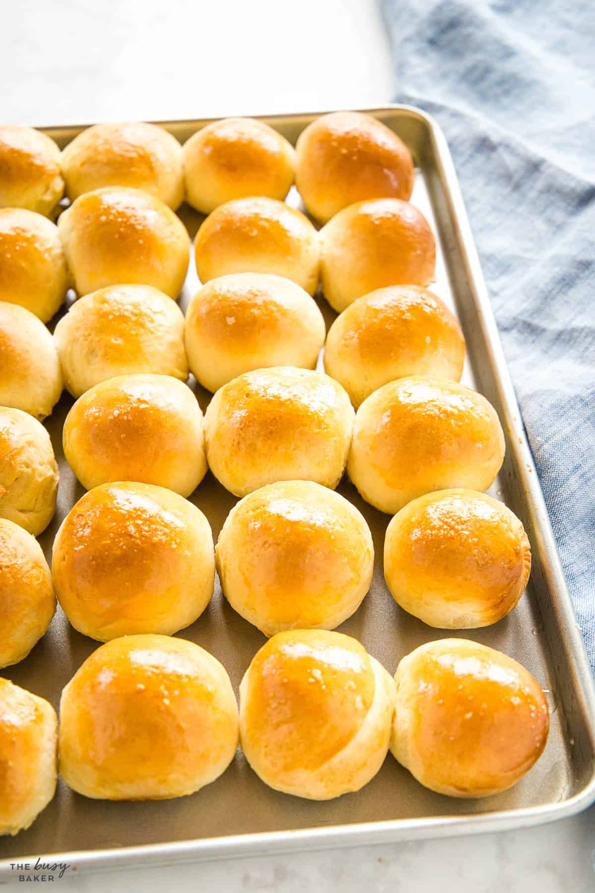 dinner roll recipe