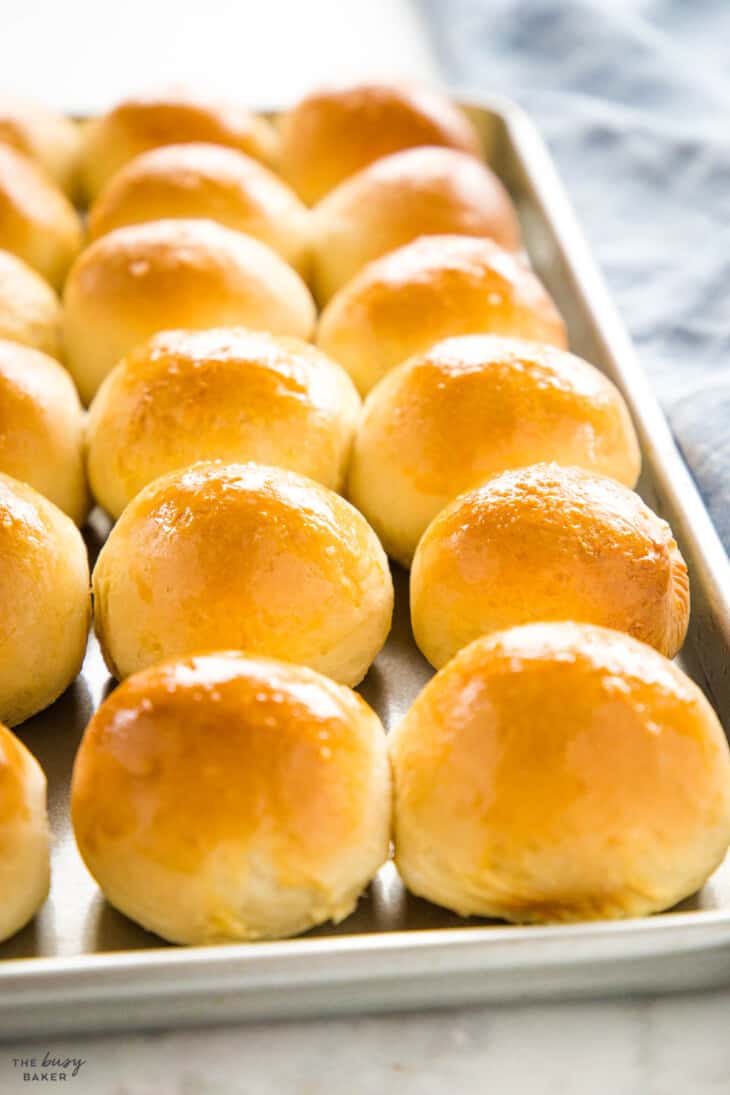 Quick Dinner Rolls - Ready in One Hour - The Busy Baker