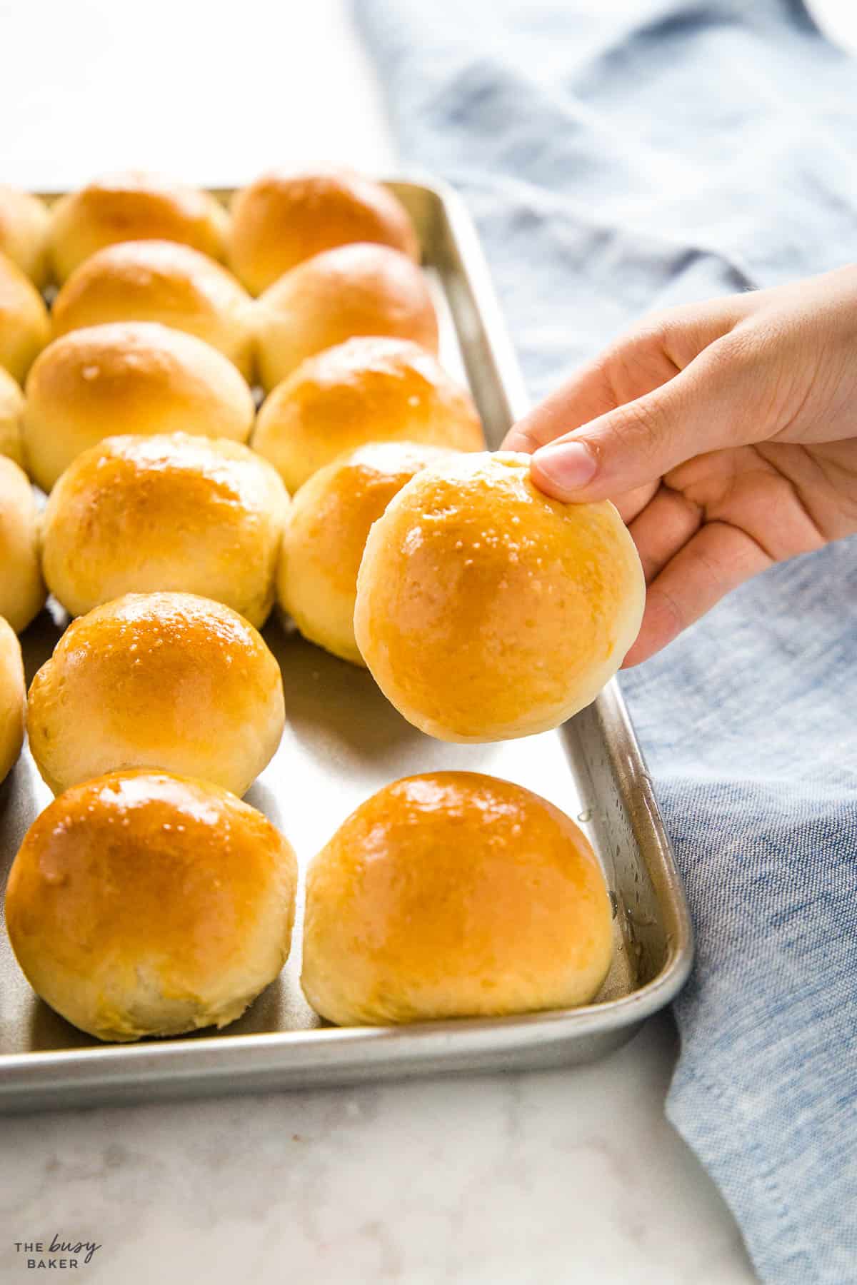 hand holding dinner roll