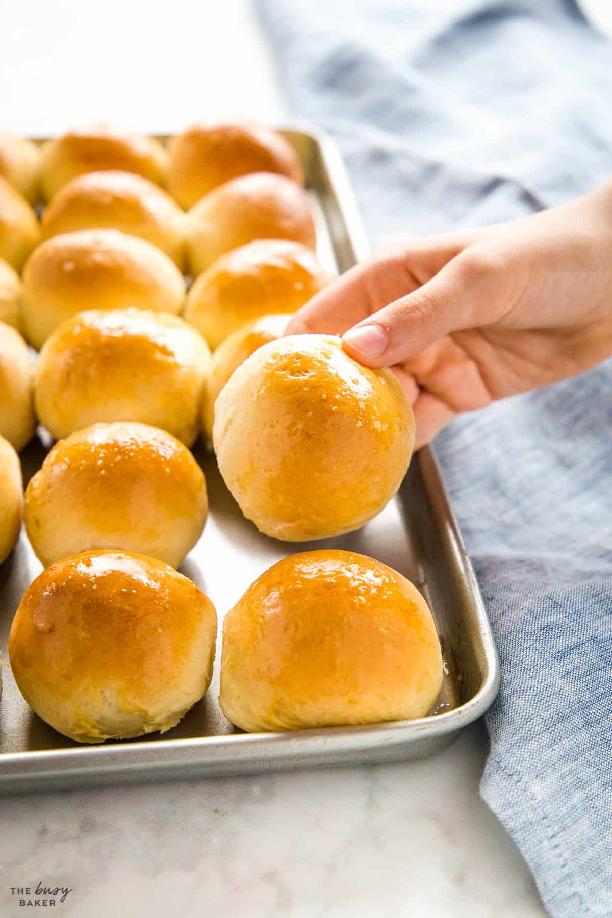 hand holding golden brown bun