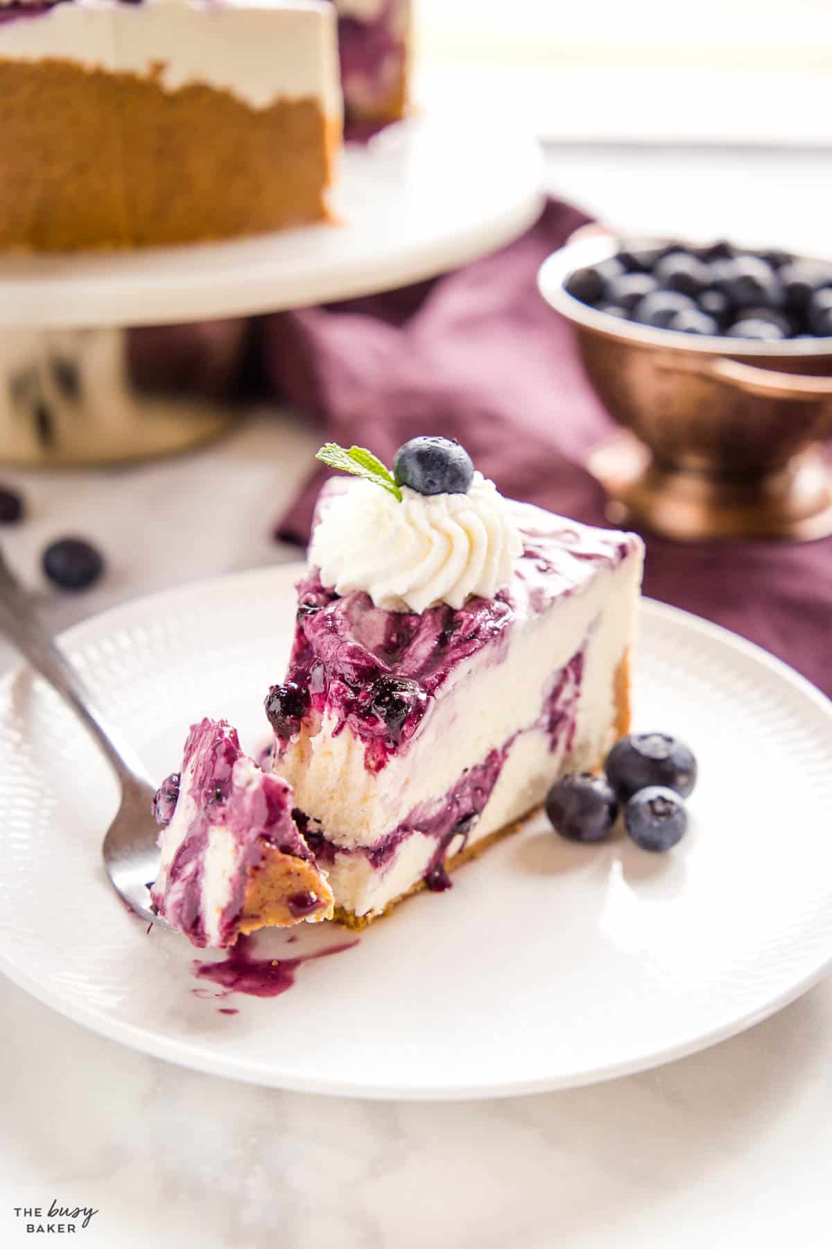 slice of blueberry cheesecake on a plate with a fork and fresh blueberries