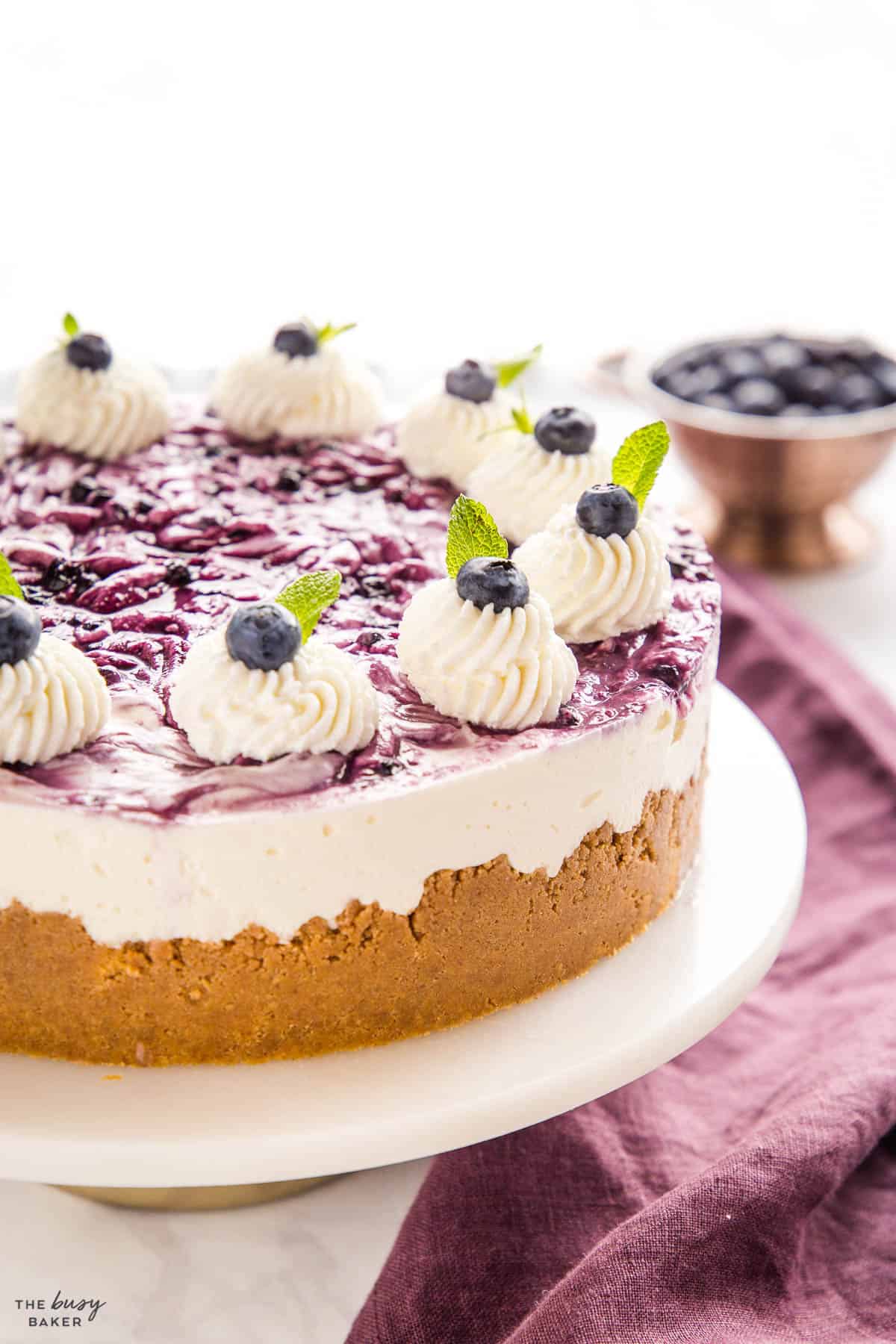 blueberry cheesecake with graham cracker crust