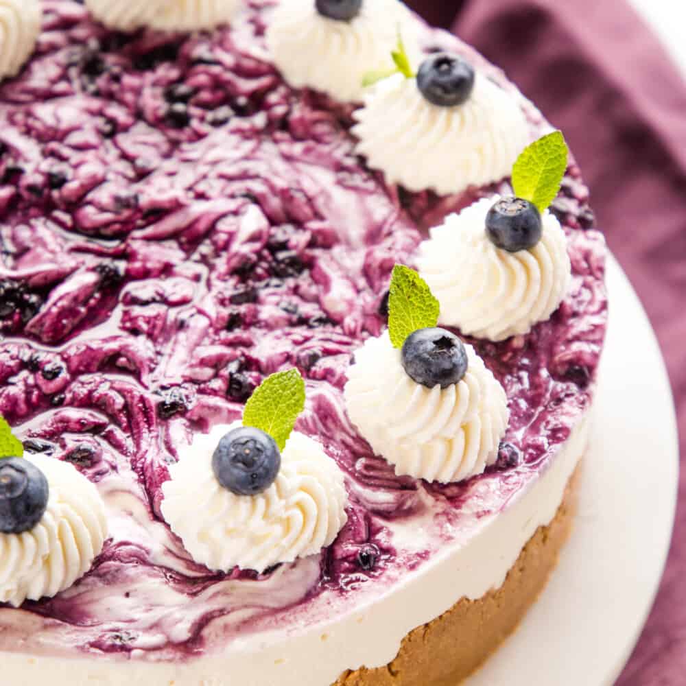 No Bake Blueberry Cheesecake The Busy Baker