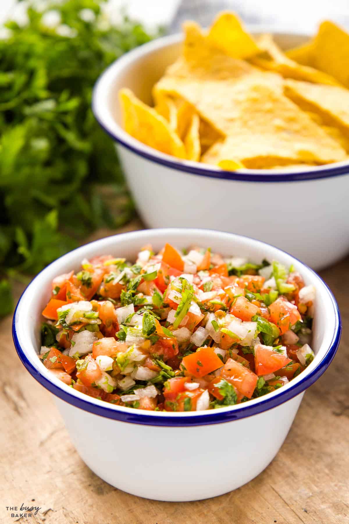 bowl of salsa fresca