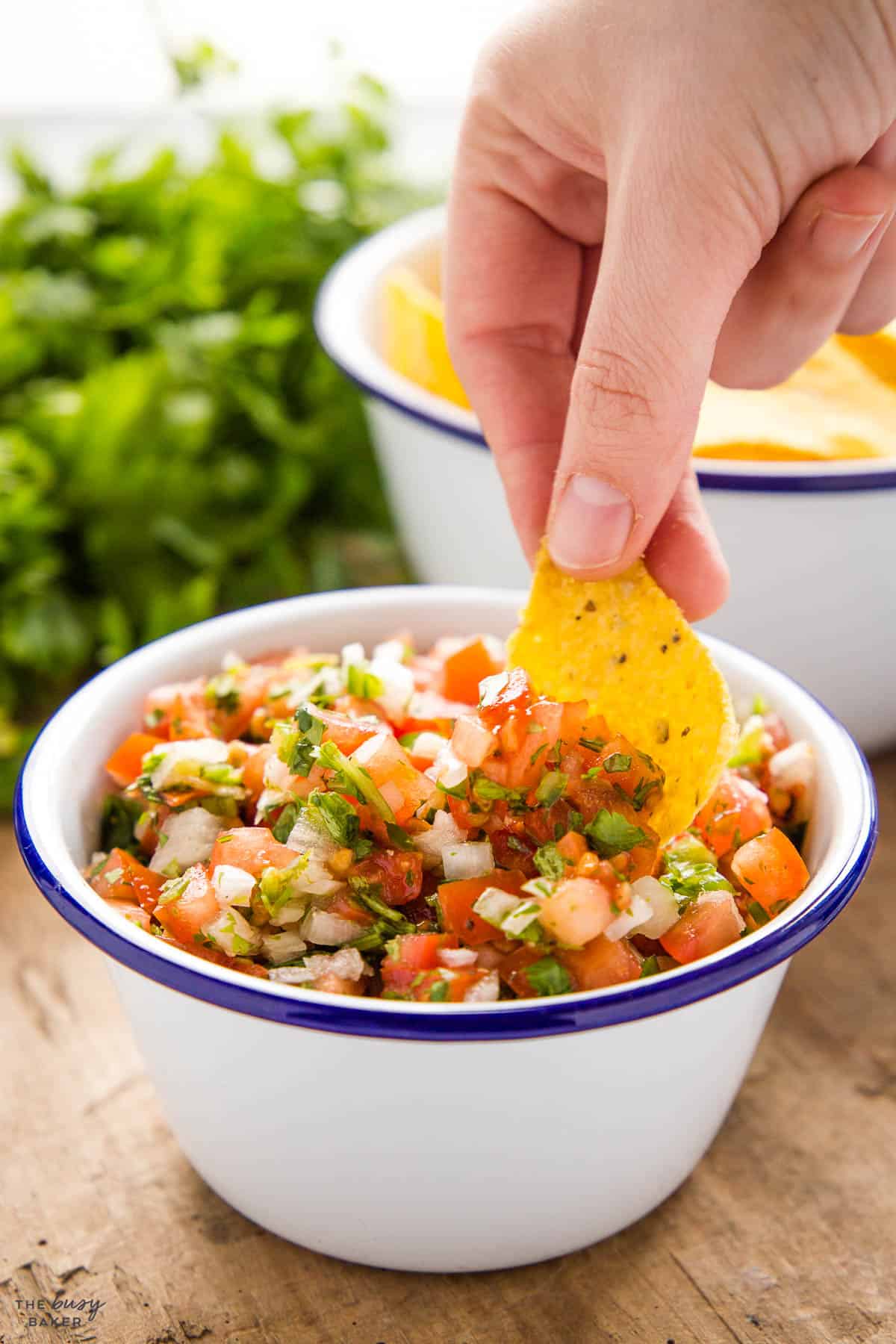 hand dipping tortilla chip into a bowl of pico de gallo