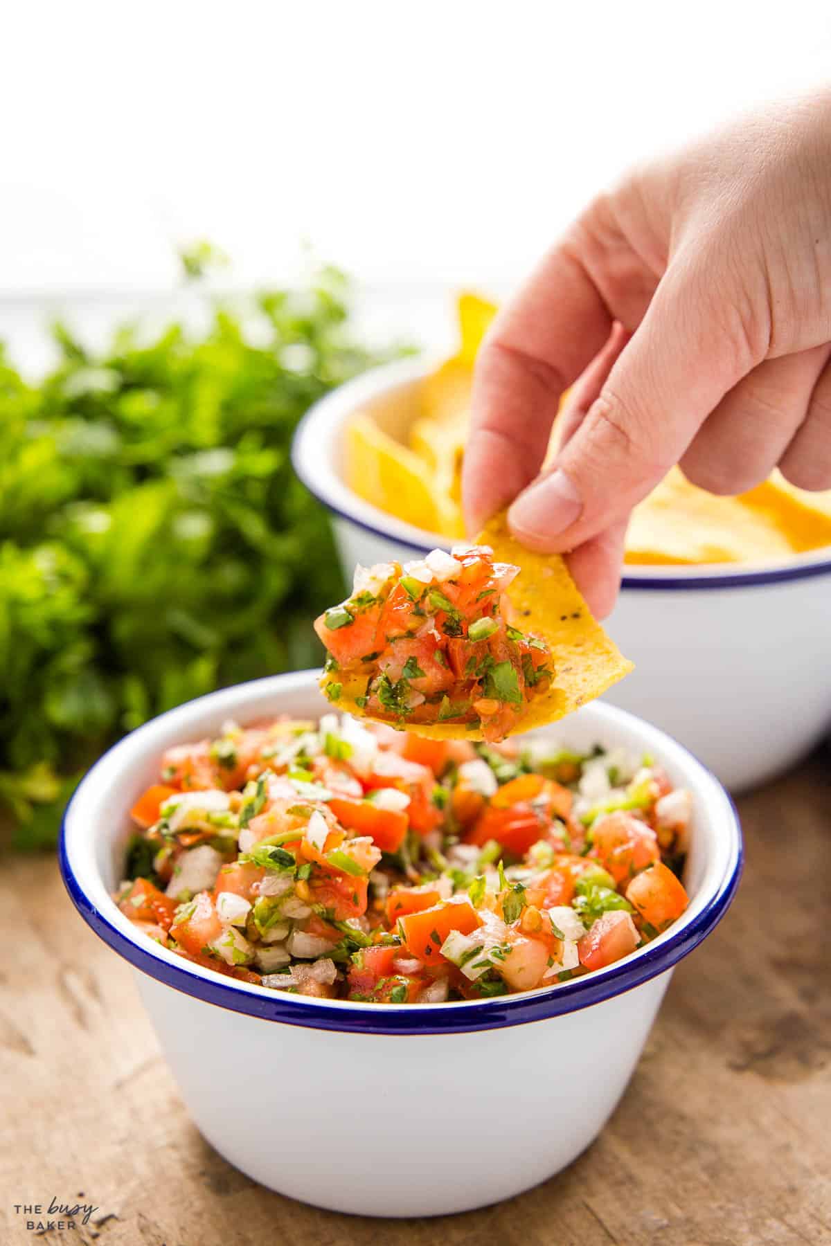 hand dipping a tortilla chip in pico de gallo