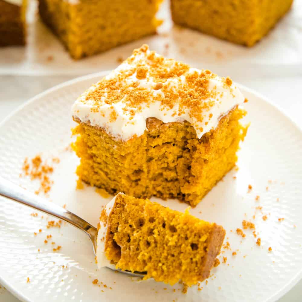 Easy Pumpkin Cake - The Busy Baker