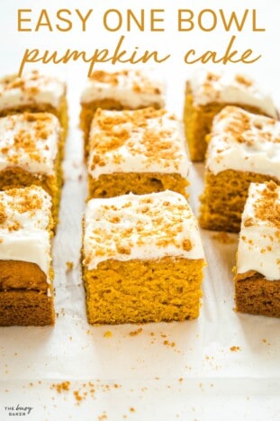 Easy Pumpkin Cake - The Busy Baker