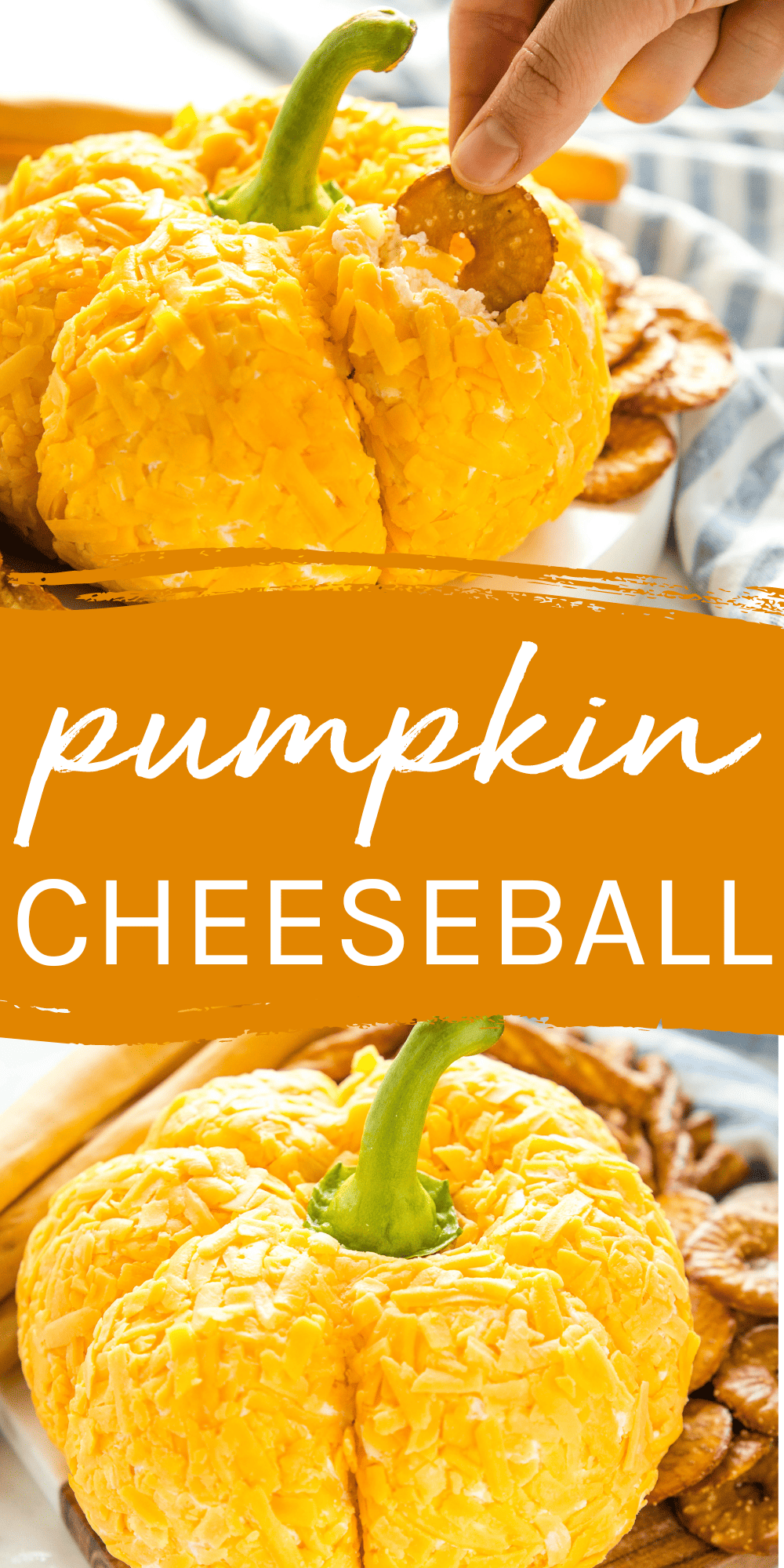 This Pumpkin Cheese Ball recipe is the best easy party appetizer for fall! A basic cheese ball mixture shaped like a pumpkin and coated with cheddar cheese - the perfect snack for Halloween or Thanksgiving! Recipe from thebusybaker.ca! #cheeseball #pumpkincheeseball #thanksgiving #halloween #halloweenpartyrecipe #thanksgivingappetizer #appetizer #snackrecipe #appetizerrecipe #easycheeseball #easyappetizer #pumpkinshapedcheeseball via @busybakerblog
