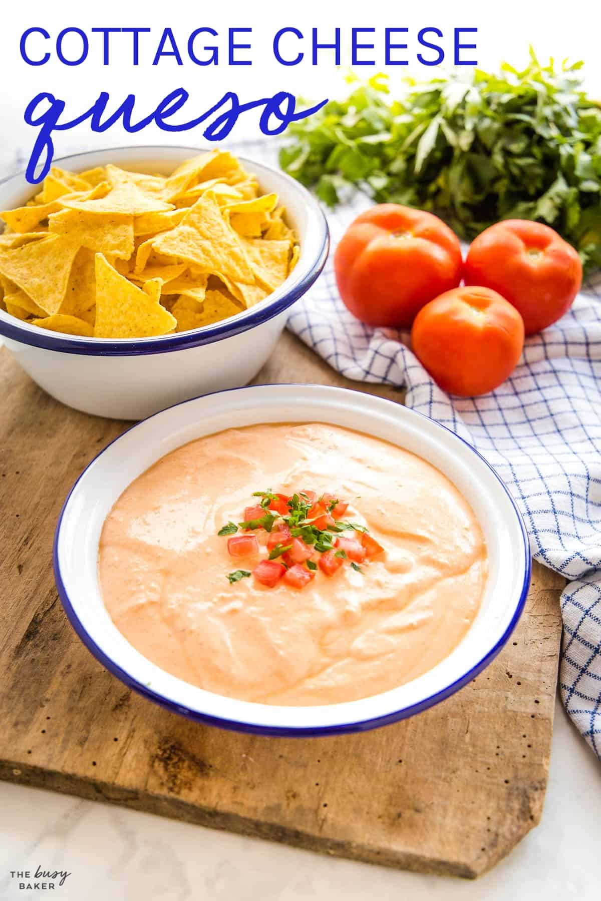 Easy Cottage Cheese Queso Dip (Viral Tiktok Recipe) - Basics with